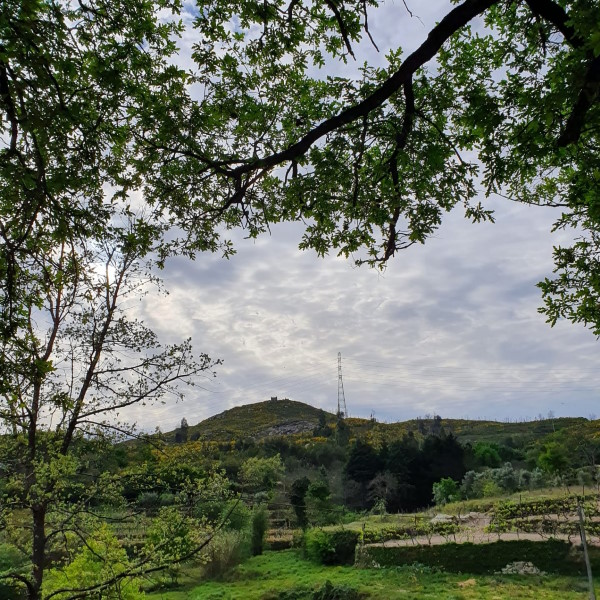 Turismo de Natureza